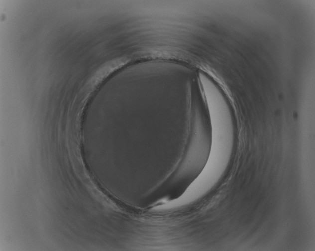 X0000087410673200705181358