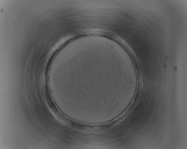 X0000087410674200705181358