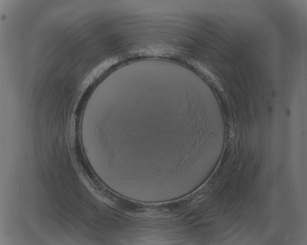 X0000087410678200705181358