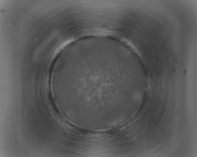 X0000087410679200705181358