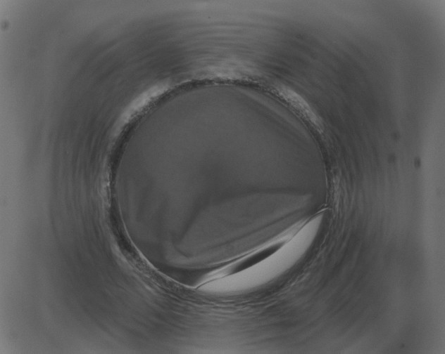 X0000087410680200705181358