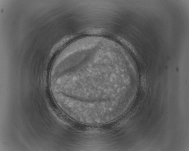 X0000087410682200705181358