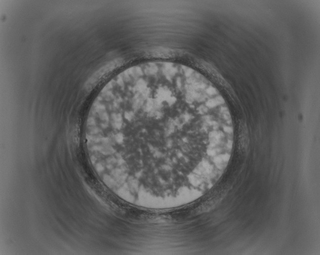 X0000087410683200705181358