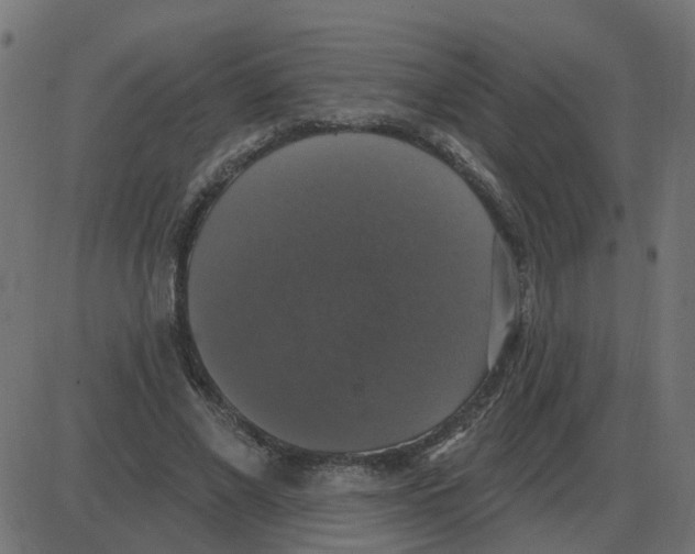 X0000087410685200705181358