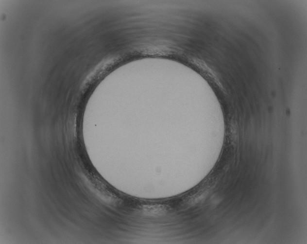 X0000087410686200705181358