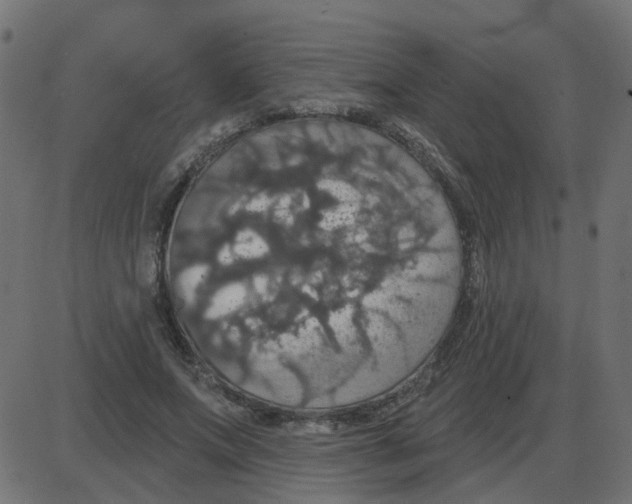 X0000087410687200705181358