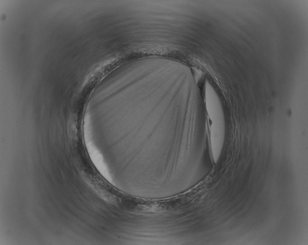 X0000087410688200705181358