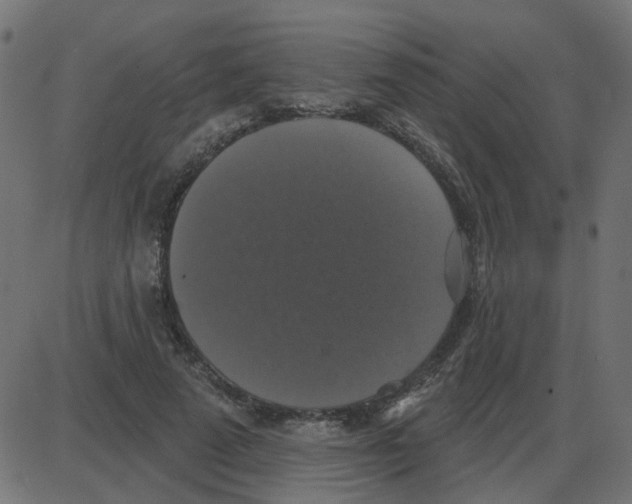 X0000087410689200705181358