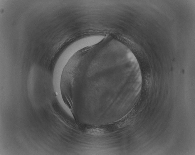 X0000087410691200705181358