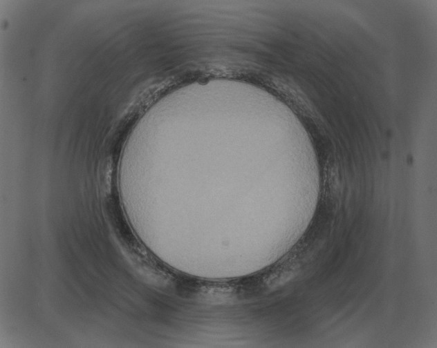 X0000087410694200705181358