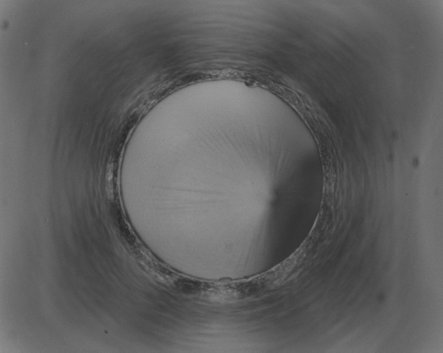 X0000087410696200705181358