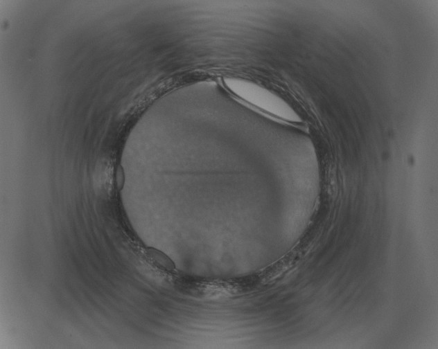 X0000087410697200705181358