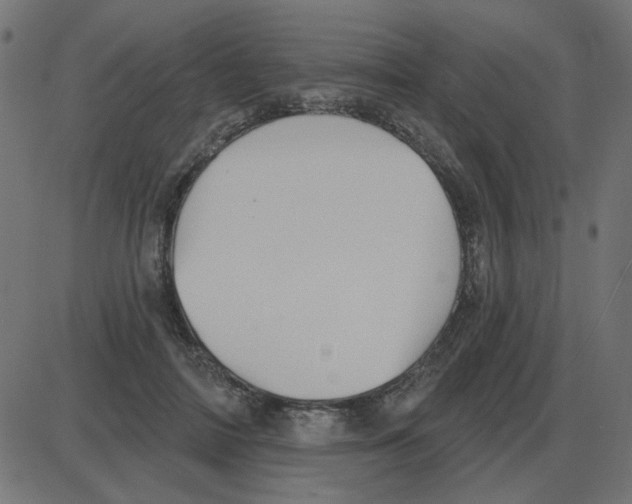 X0000087410698200705181358