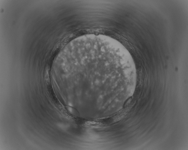 X0000087410699200705181358