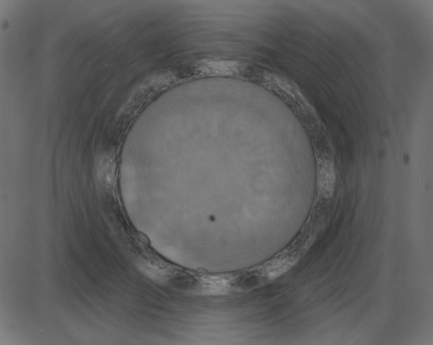 X0000087410701200705181358