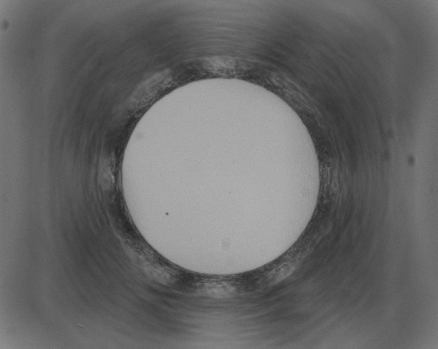 X0000087410702200705181358