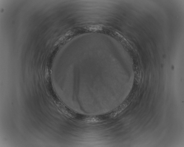 X0000087410704200705181358