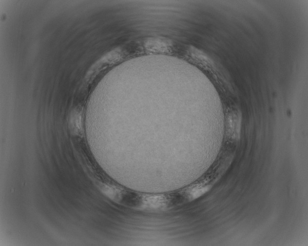 X0000087410705200705181358