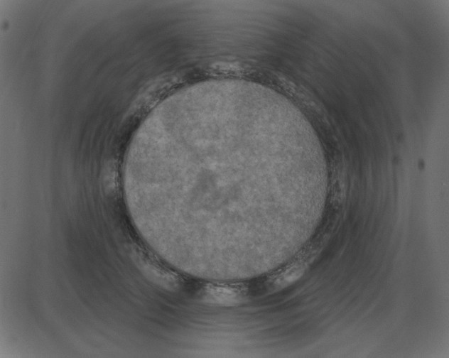 X0000087410706200705181358