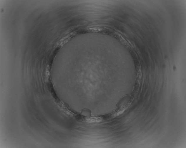 X0000087410707200705181358