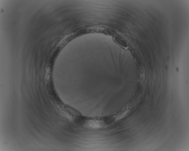 X0000087410708200705181358