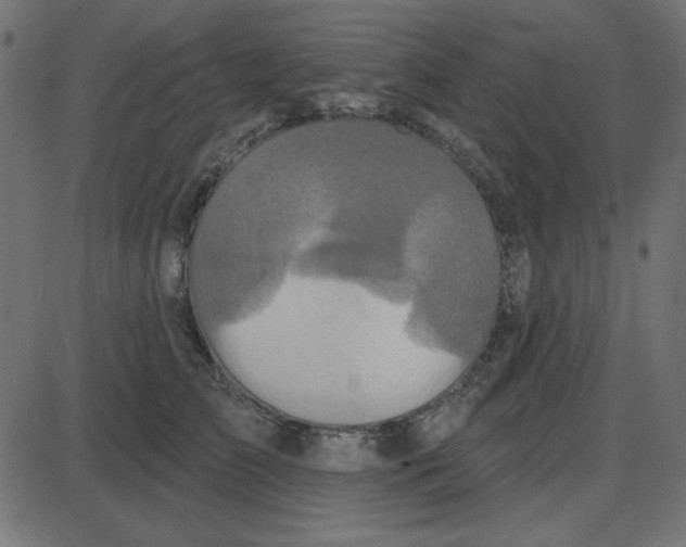 X0000087410709200705181357