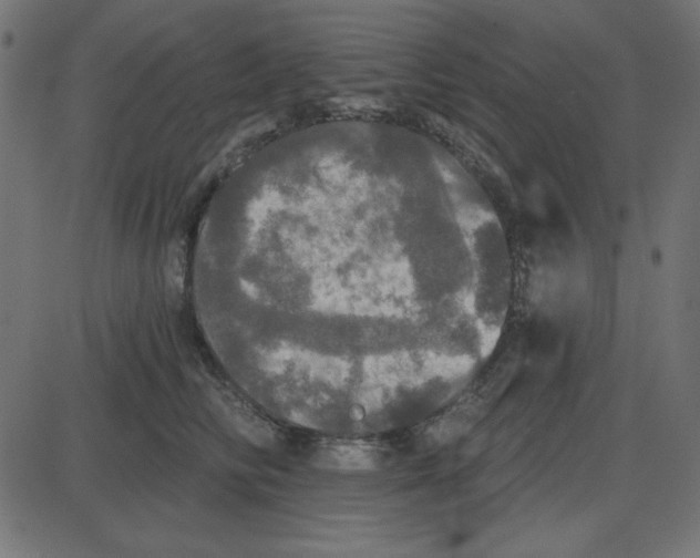 X0000087410710200705181357