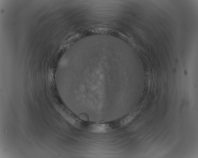 X0000087410711200705181357