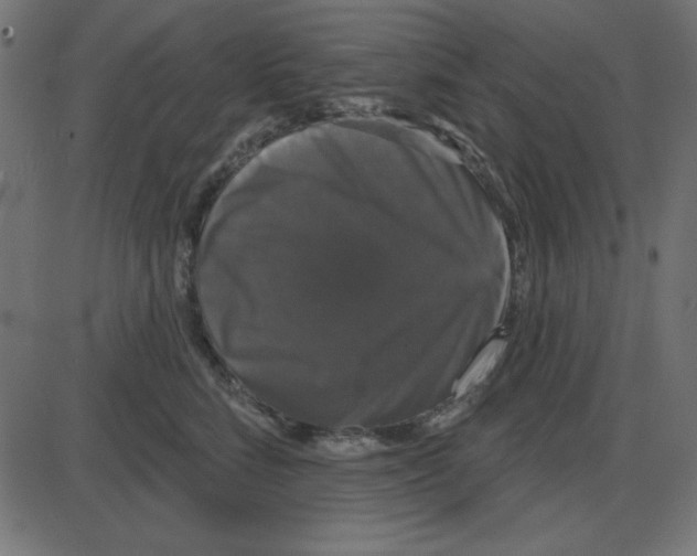 X0000087410712200705181357