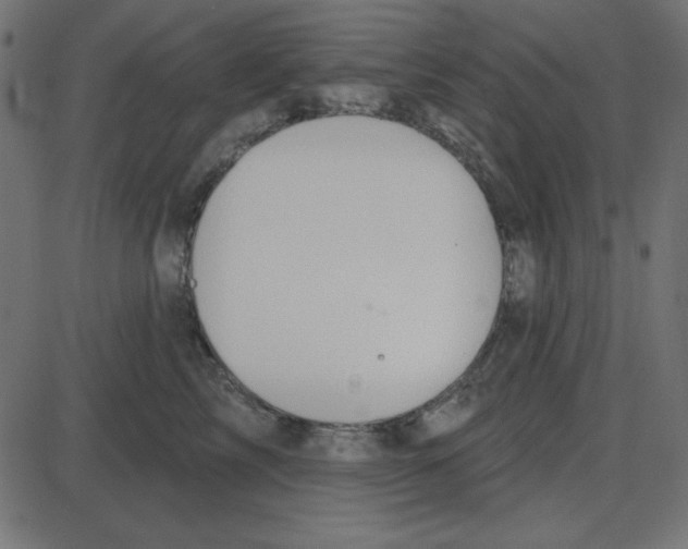 X0000087410713200705181357