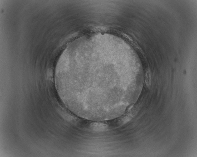 X0000087410714200705181357