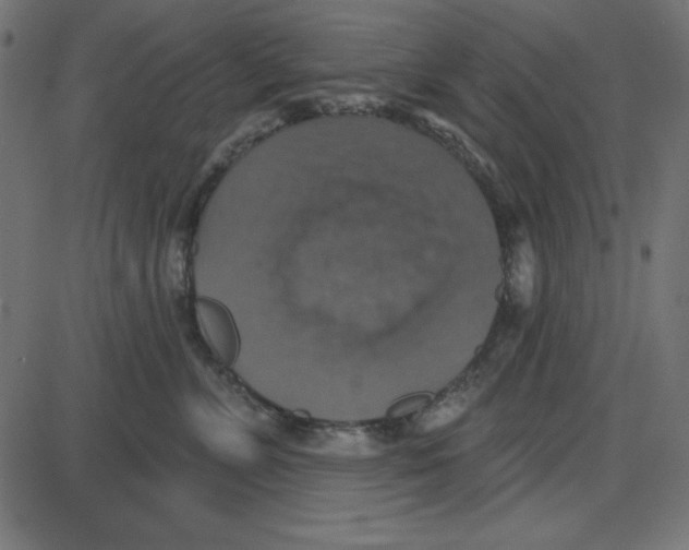 X0000087410715200705181357