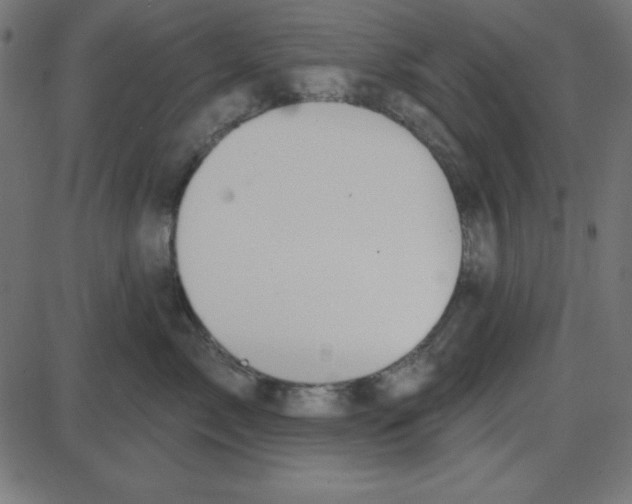 X0000087410717200705181357