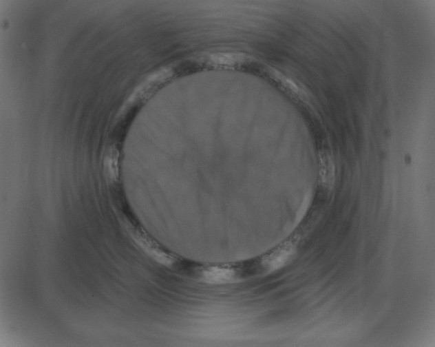 X0000087410718200705181357