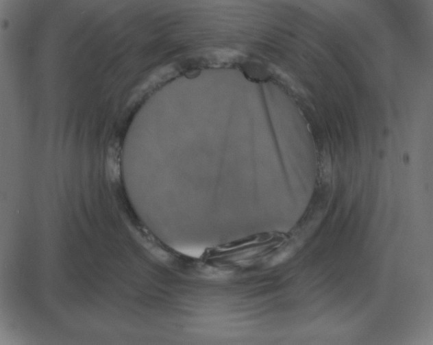 X0000087410719200705181357