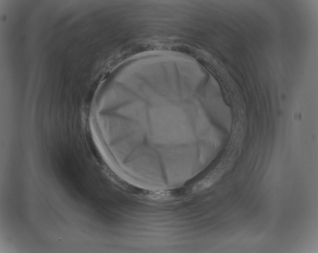 X0000087410720200705181357