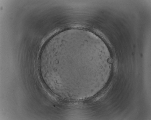 X0000087410721200705181357