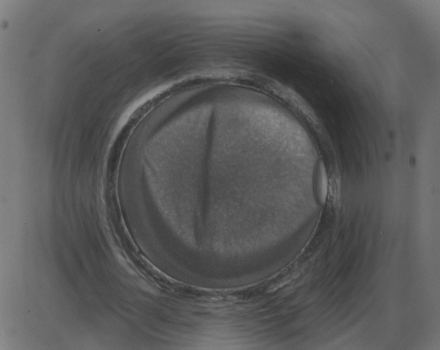 X0000087410724200705181357