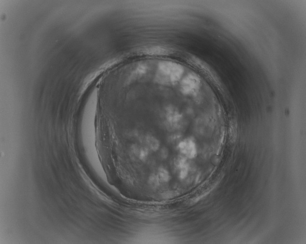 X0000087410725200705181357