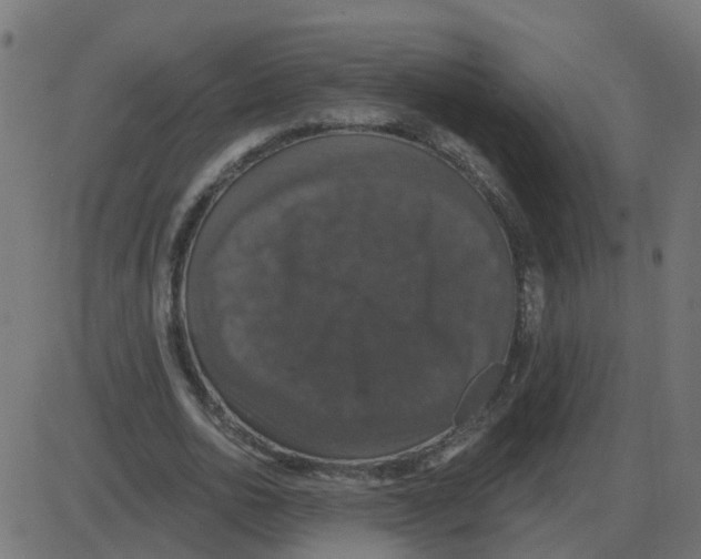 X0000087410726200705181357