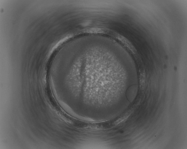 X0000087410727200705181357