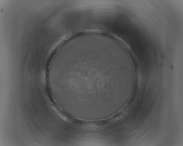 X0000087410729200705181357