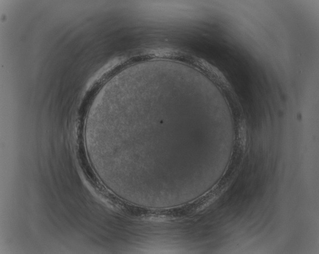 X0000087410730200705181357