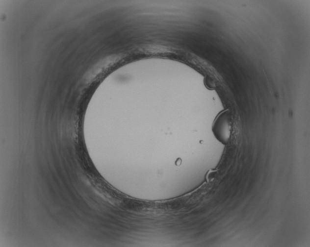 X0000087410732200705181357