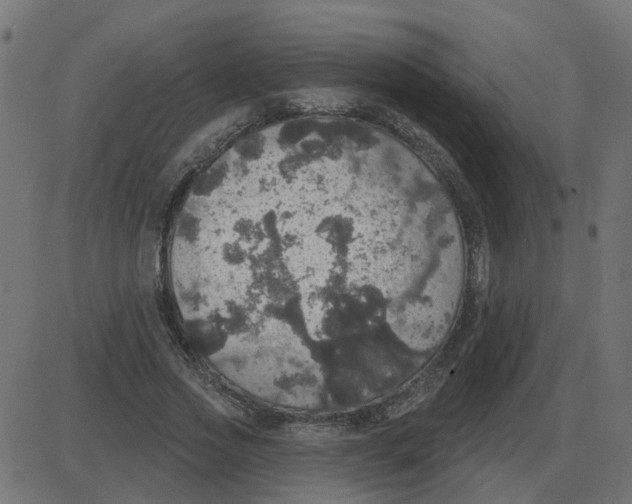 X0000087410733200705181357