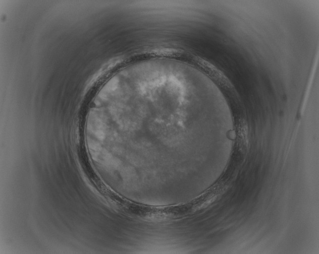 X0000087410734200705181357