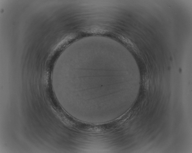 X0000087410735200705181357