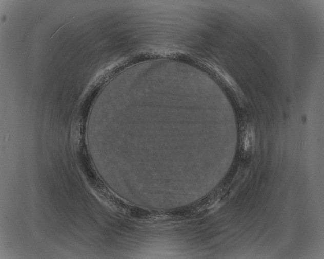 X0000087410736200705181357