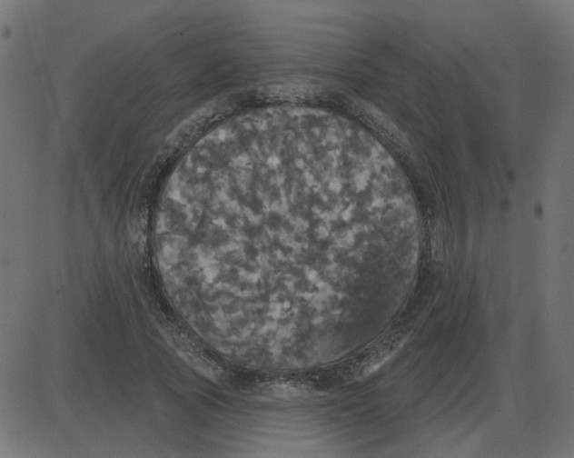 X0000087410737200705181357