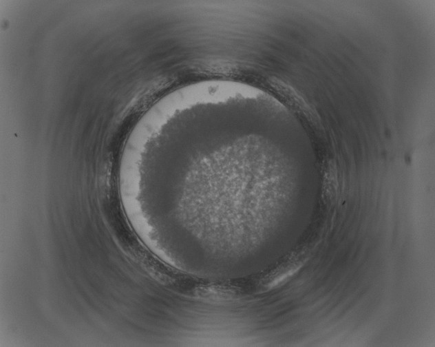 X0000087410739200705181357